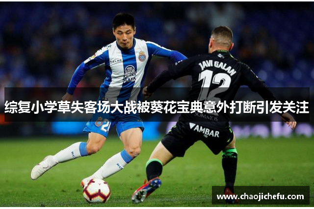 综复小学草失客场大战被葵花宝典意外打断引发关注