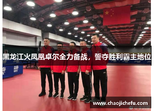 黑龙江火凤凰卓尔全力备战，誓夺胜利霸主地位