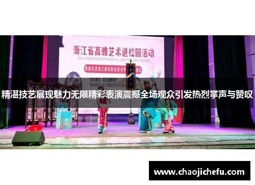 精湛技艺展现魅力无限精彩表演震撼全场观众引发热烈掌声与赞叹