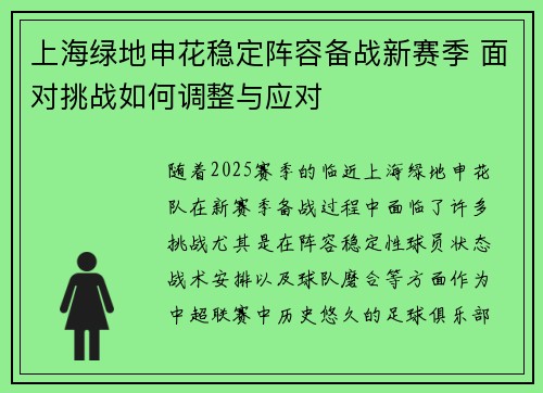 上海绿地申花稳定阵容备战新赛季 面对挑战如何调整与应对