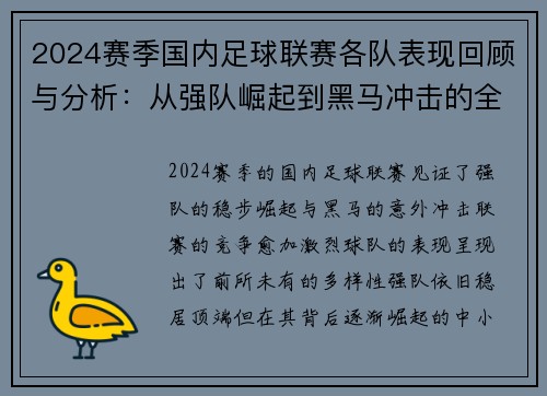 2024赛季国内足球联赛各队表现回顾与分析：从强队崛起到黑马冲击的全景观察
