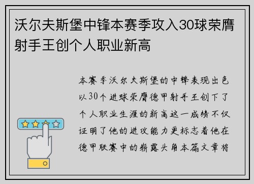 沃尔夫斯堡中锋本赛季攻入30球荣膺射手王创个人职业新高